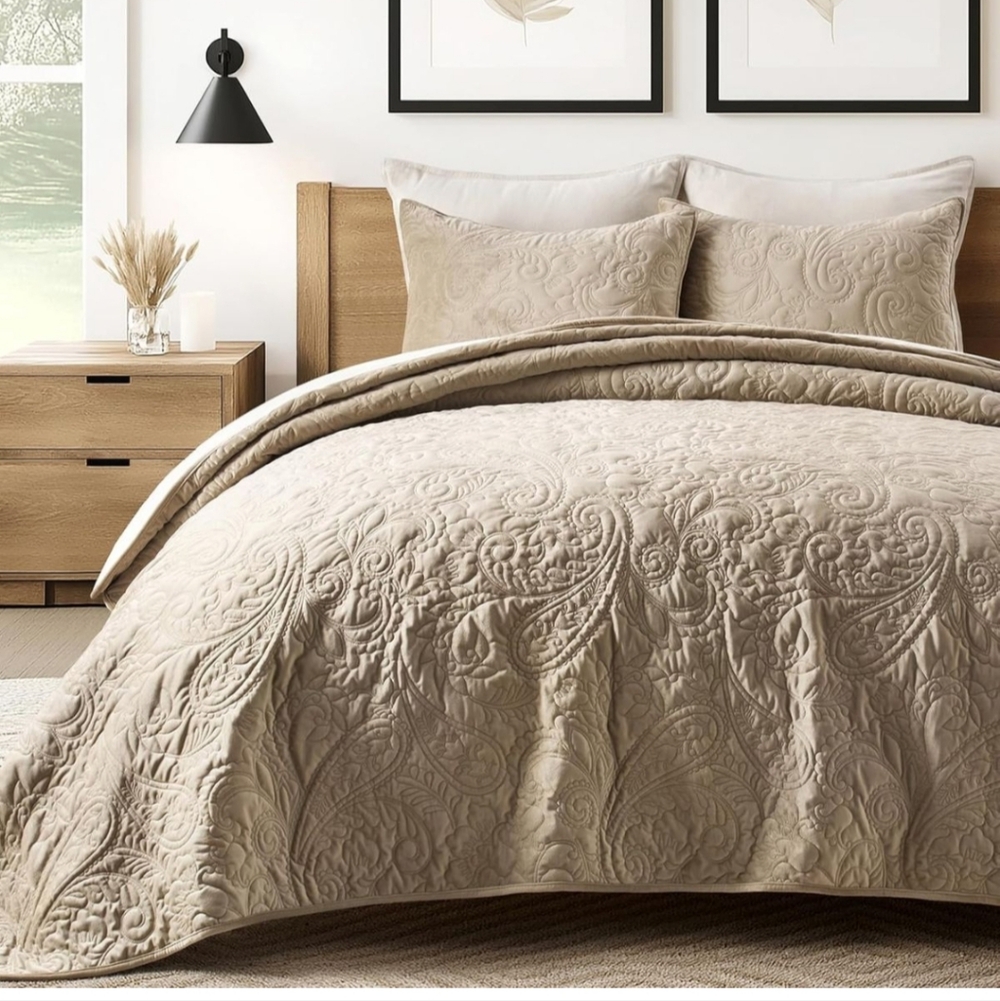 EVERGRACE Luxury Pearl Velvet Quilt Set Queen  3 Pieces, Soft Paisley-Stitch Vel